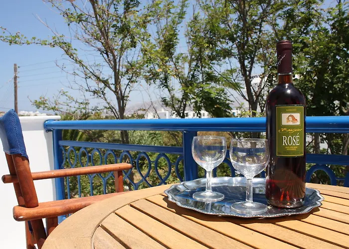 Apart Otel Katerina Babis